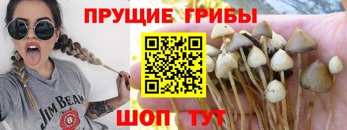 Псилоцибиновые грибы мухоморы Великие Луки